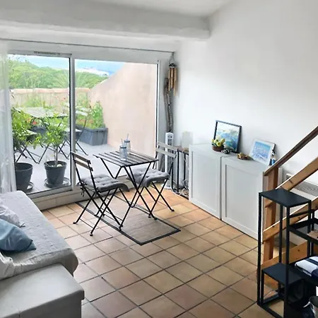 Contemporain A La Seyne-sur-mer, 30 M², Terrasse *